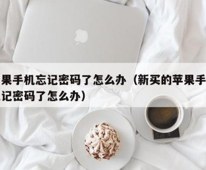 苹果手机忘记密码了怎么办（新买的苹果手机忘记密码了怎么办）