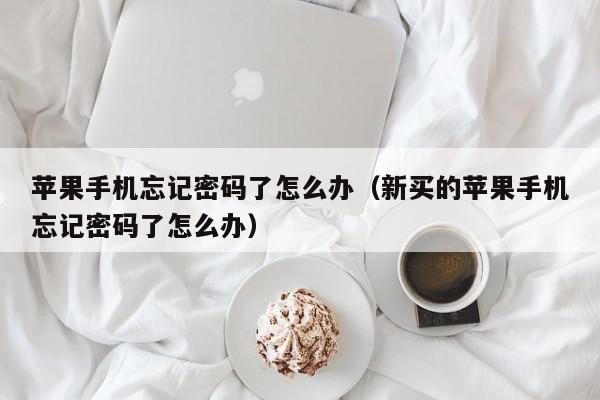 苹果手机忘记密码了怎么办(新买的苹果手机忘记密码了怎么办)